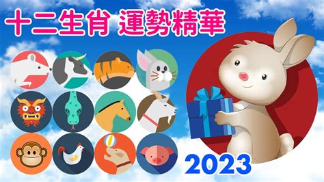 2023 水兔年